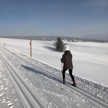 아파트 & Fichtelberger Blick 오베르비젠탈