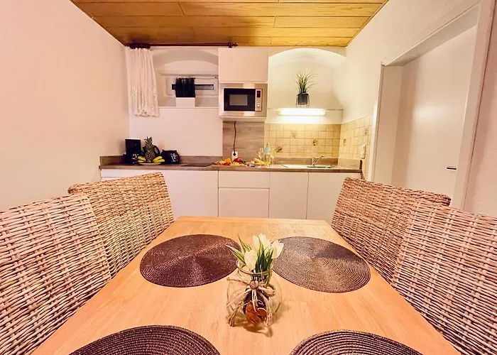 & Fichtelberger Blick Lejlighed Oberwiesenthal