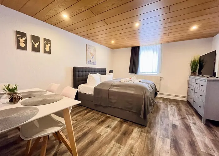 Lejlighed & Fichtelberger Blick Oberwiesenthal