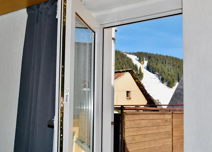 & Fichtelberger Blick Lejlighed Oberwiesenthal