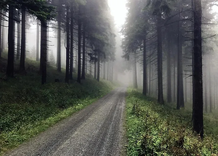 Lejlighed & Fichtelberger Blick