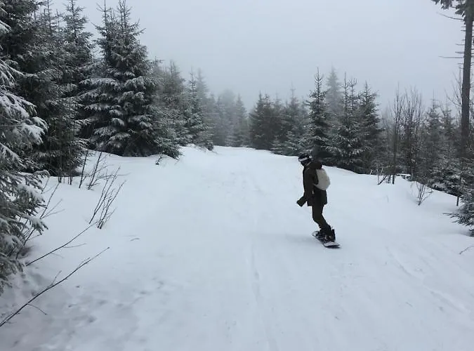 Lejlighed & Fichtelberger Blick Oberwiesenthal