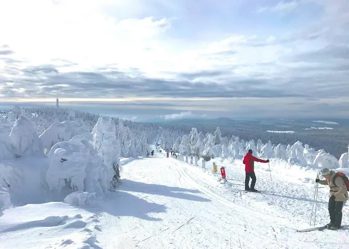 Lejlighed & Fichtelberger Blick *
