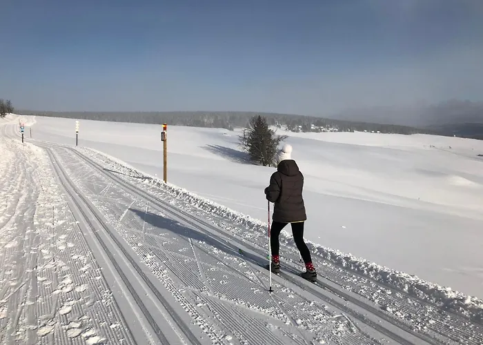 Lejlighed & Fichtelberger Blick Oberwiesenthal